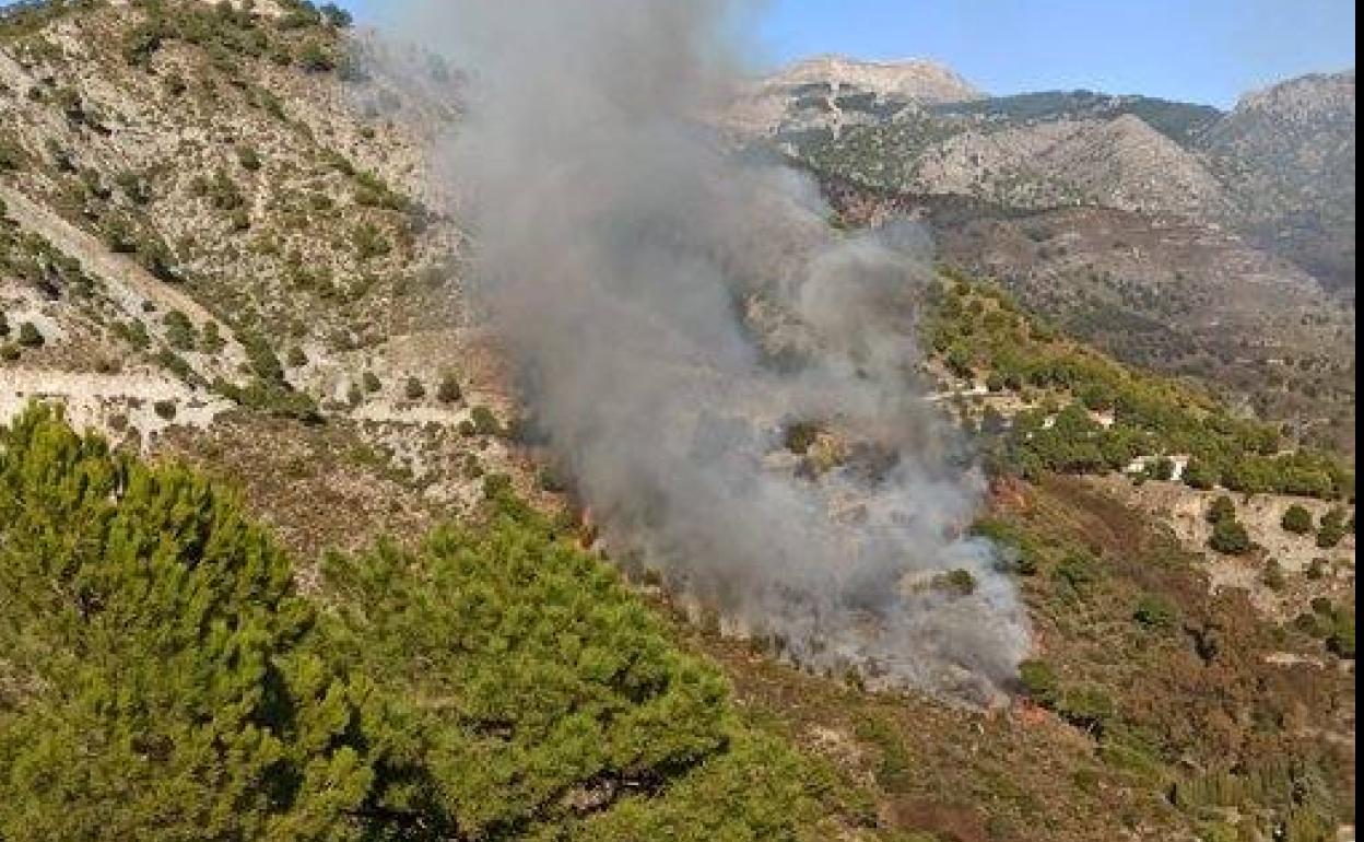 El Infoca Da Por Extinguido El Incendio Forestal De C Mpeta Tres D As